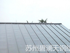 䓰